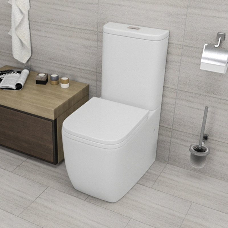 Two piece Washdown Toilet with Unique Design